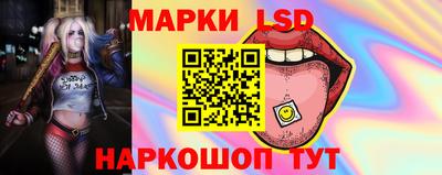 индика Лесосибирск