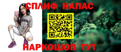 индика Лесосибирск
