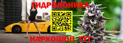 индика Лесосибирск