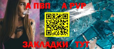 индика Лесосибирск