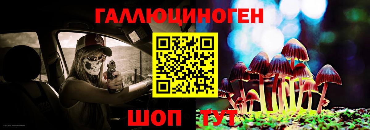 Галлюциногенные грибы Psilocybine cubensis  Псилоцибиновые грибы Psilocybine cubensis  Вход с VPN  Арзамас 